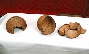 Coconut Shells (Pieces and Domes)
